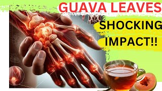 HIDDEN POWER OF GUAVA LEAVES Incredible Benefits of Guava Leaves in 11 Compelling Reasons [upl. by Annawoj399]