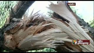 Cyclone Helen Brings Heavy Rain To Andhra [upl. by Newell]