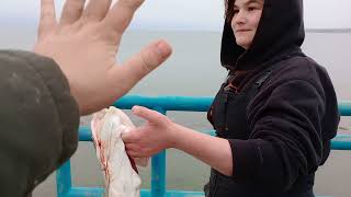 121723  Caseville Michigan Lake Trout Fishing With A 9 Pound Lake Trout [upl. by Odnamra459]