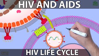 HIV and AIDS [upl. by Coralie]