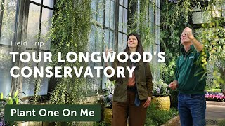 Longwood Gardens CONSERVATORY TOUR — Ep 308 [upl. by Amlus]