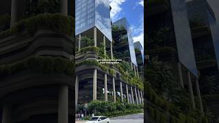 POV YOU STAY AT A GREEN HOTEL IN SINGAPORE shorts travel [upl. by Novyad]