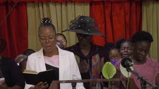 KTSDA  Sabbath School  Divine Service  June 8 2024 [upl. by Medwin]