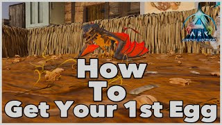 How To Get A Wyvern Egg With An ARGENTAVIS Earlygame ARK [upl. by Bocoj]