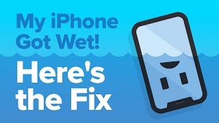 My iPhone Got Wet How To Fix iPhone Water Damage [upl. by Maker]