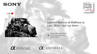 Laurent Baheux et Mathieu Le Lay  Félins noir sur blanc [upl. by Dolorita]