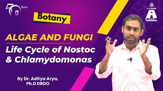 Algae and Fungi  Life Cycle of Nostoc and Chlamydomonas  Botany  S Chand Academy [upl. by Addie727]