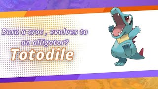 Totodile Pokemon Unite Spotlight  Shorts  Nintendo [upl. by Kyte765]