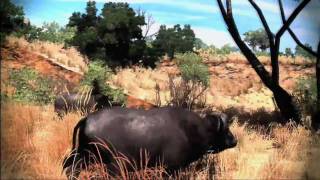 Cabelas Big Game Hunter 2010 Wii Trailer HD [upl. by Leciram]