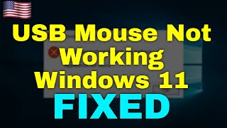 How to Fix USB Mouse Not Working Windows 11 [upl. by Bevus]