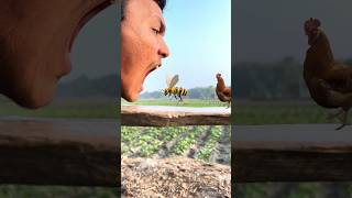 Bee chickens amp the goat in my mouth 👄 funny vfx magic video 😀🥰 ytshorts viral funny [upl. by Doralin]