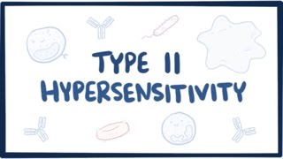 Type II hypersensitivity cytotoxic hypersensitivity  causes symptoms amp pathology [upl. by Skardol]