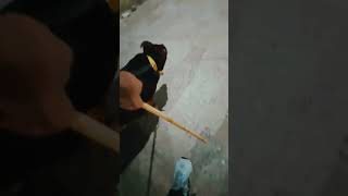 gabbar dog funny prayagraj gabbaronrock [upl. by Honorine]