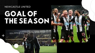 Newcastle United 201920  Goal of the Season [upl. by Zeeba]