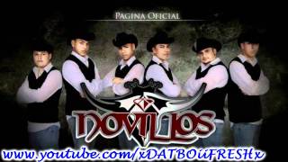 NOVILLOS VS PANTERA MUSICAL MIX DURANGUENSE [upl. by Ellimaj688]