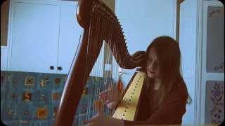 Hey Soul Sister  Train Harp Cover [upl. by Euqnomod]