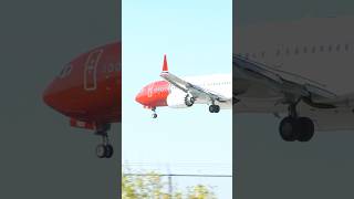 Lynx Air B737 MAX 8 Arriving at Toronto shorts aviation plane spotting [upl. by Staw]