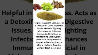 Triphala Benefits In English  Triphala In English  Triphala Churna triphala shorts [upl. by Llatsyrk117]