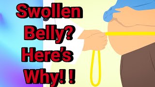 My Stomach Bloats After Every Meal Find Out Why [upl. by Lobiv]