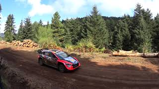 WRC EKO RALLY ACROPOLIS 2024 SS14 ELEFTHEROHORI 1 [upl. by Lalib]