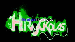 Zurdok  Gallito ingles HRockolas [upl. by Thgiwd]