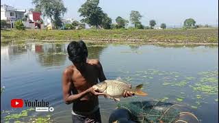 Best fishing by net in Pondcatching common carf fishgouravfishingvlog 🐠 fishing tranding [upl. by Siahc]