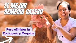 EL MEJOR REMEDIO para CURAR la RONQUERA de tus GALLINAS [upl. by Darnell]