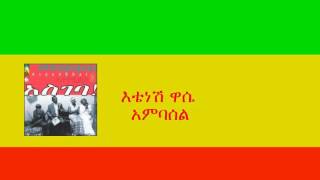 እቴነሽ ዋሴ  አምባሰል Etenesh Wassie  Ambassel [upl. by Ma]