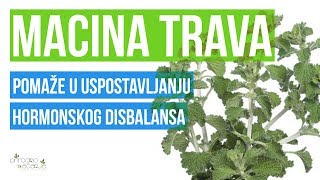 Očajnica ili Macina trava za uspostavljanje hormonskog disbalansa [upl. by Enyamert]