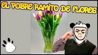 Panda Show Bromas El ramito de flores de 20 pesos [upl. by Ketchum371]