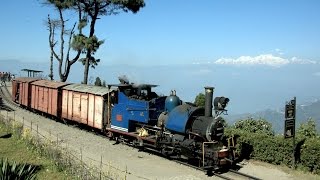 India 2016  Freight train on the Darjeeling Railway [upl. by Aikit75]