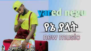 yared negu የኔ ያላት  new Ethiopia music 2023office video [upl. by Atterual]