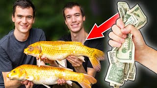 How To Catch More Carp and SPEND LESS MONEY Carp Fishing On A Budget [upl. by Ittocs385]