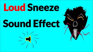 Loud Sneeze Sound Effect [upl. by Mazur]