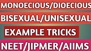 Monoecious DioeciousBisexualunisexual Example tricksneet Aiims [upl. by Barbee]