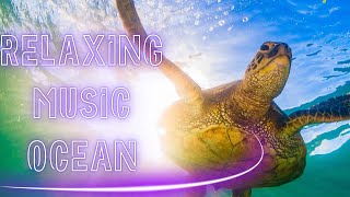 RELAXING MUSIC  OCEANO  OCEAN music petlover song inteligenciaartificial [upl. by Simsar]