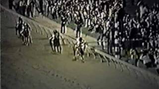 SECRETARIAT  1973 Preakness Stakes Alternate Footage [upl. by Philis]