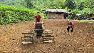 The orphan boy and his grandmother renovated the land and replanted corn but the geese destroyed it [upl. by Adnirod]