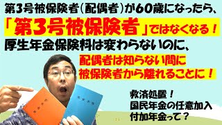 第3号被保険者（配偶者）が６０歳になったら、第３号被保険者ではなくなる！厚生年金保険料は変わらないのに、配偶者は被保険者から離れることに！救済処置！国民年金の任意加入、付加年金って？ [upl. by Ennaitsirk867]