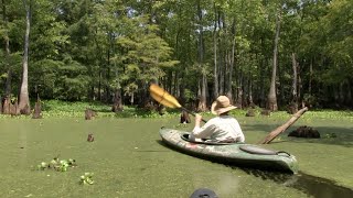 Chakchiuma Swamp Grenada Mississippi [upl. by Aisinoid]