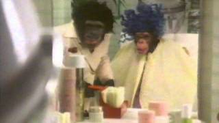 PG Tips Chimps Al B Blowed 1979mp4 [upl. by Caves802]