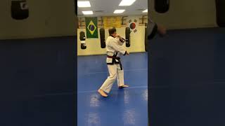 Tang Soo Do  Basic Form 1 [upl. by Annazus839]