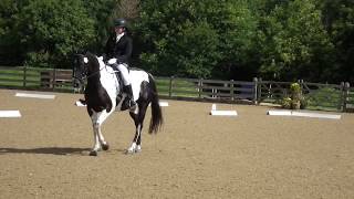 British Dressage  Prelim 14 Eland Lodge [upl. by Enenaej]