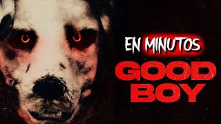 GOOD BOY El Perro Humano [upl. by Granthem]