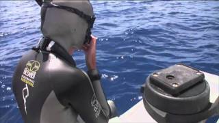 Submerged Freediving Documentary [upl. by Nnayram]