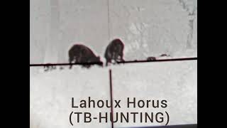 Lahoux Horus [upl. by Nylhtac]