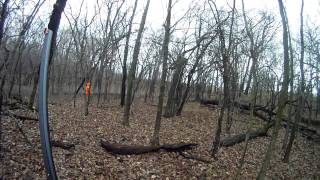 Chain O Lakes State Park Pheasant Hunting Running Birds [upl. by Elma893]