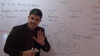 Meiosis in detail in Urdu Hindi by dr Hadi [upl. by Akemit647]