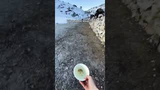 I know it’s not much but been trying to feed Himalayan dogs along my Everest Base Camp trek in Nepal [upl. by Iorgo434]