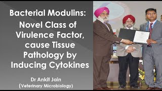 Bacterial Modulins Novel Class of Virulence Factor cause Tissue Pathology by Inducing Cytokines [upl. by Wilone]